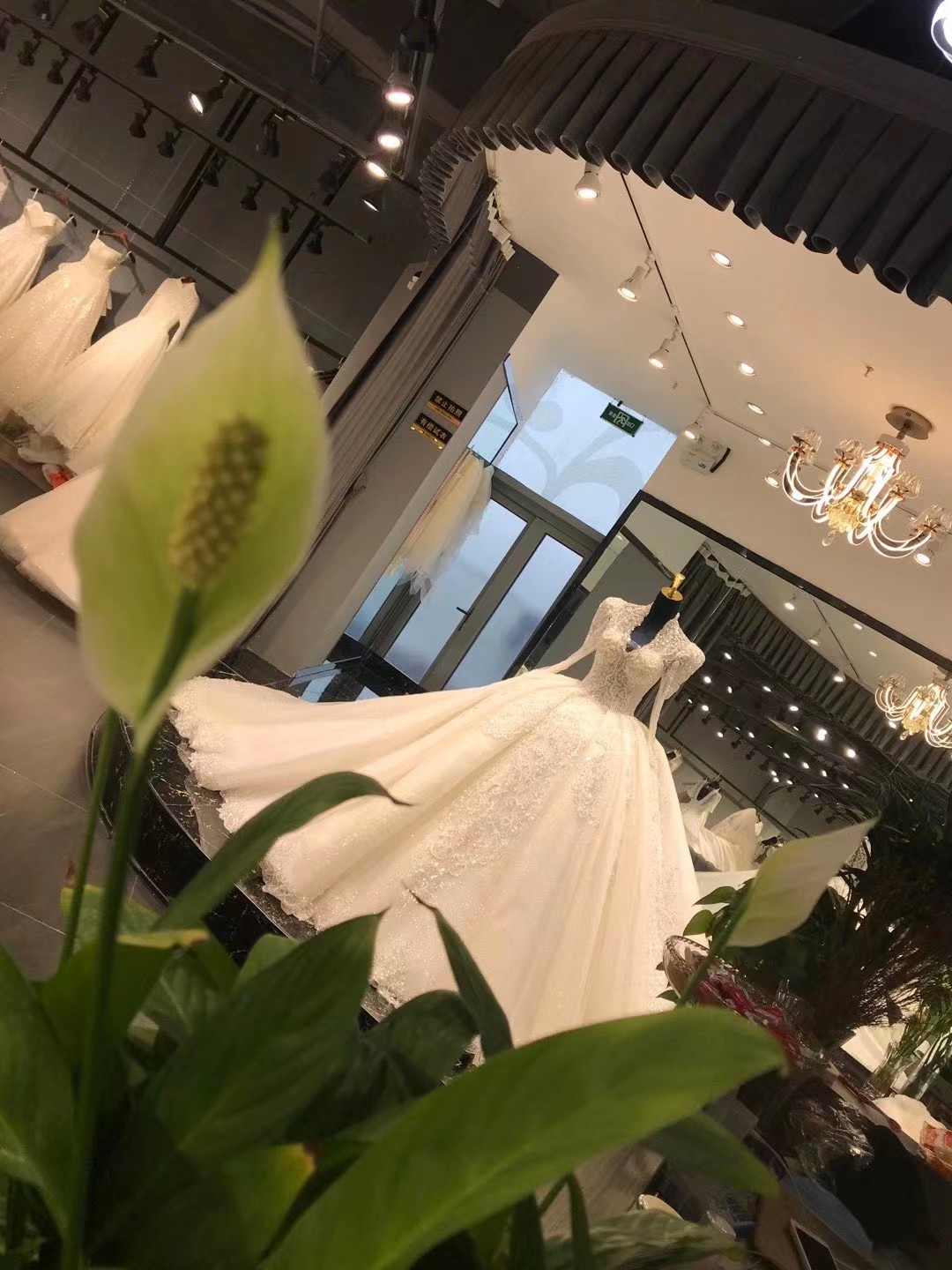 美好的爱情大概就是‘’穿上漂亮的婚纱嫁给最爱的