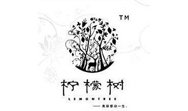 杭州柠檬树摄影