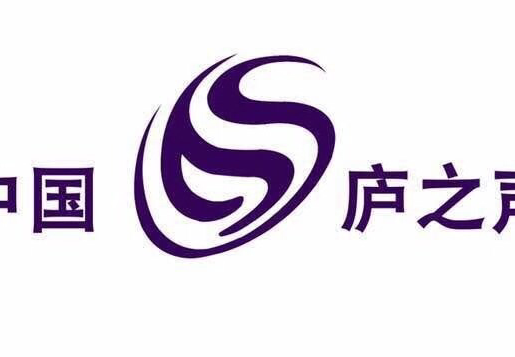 中国庐之声主持团