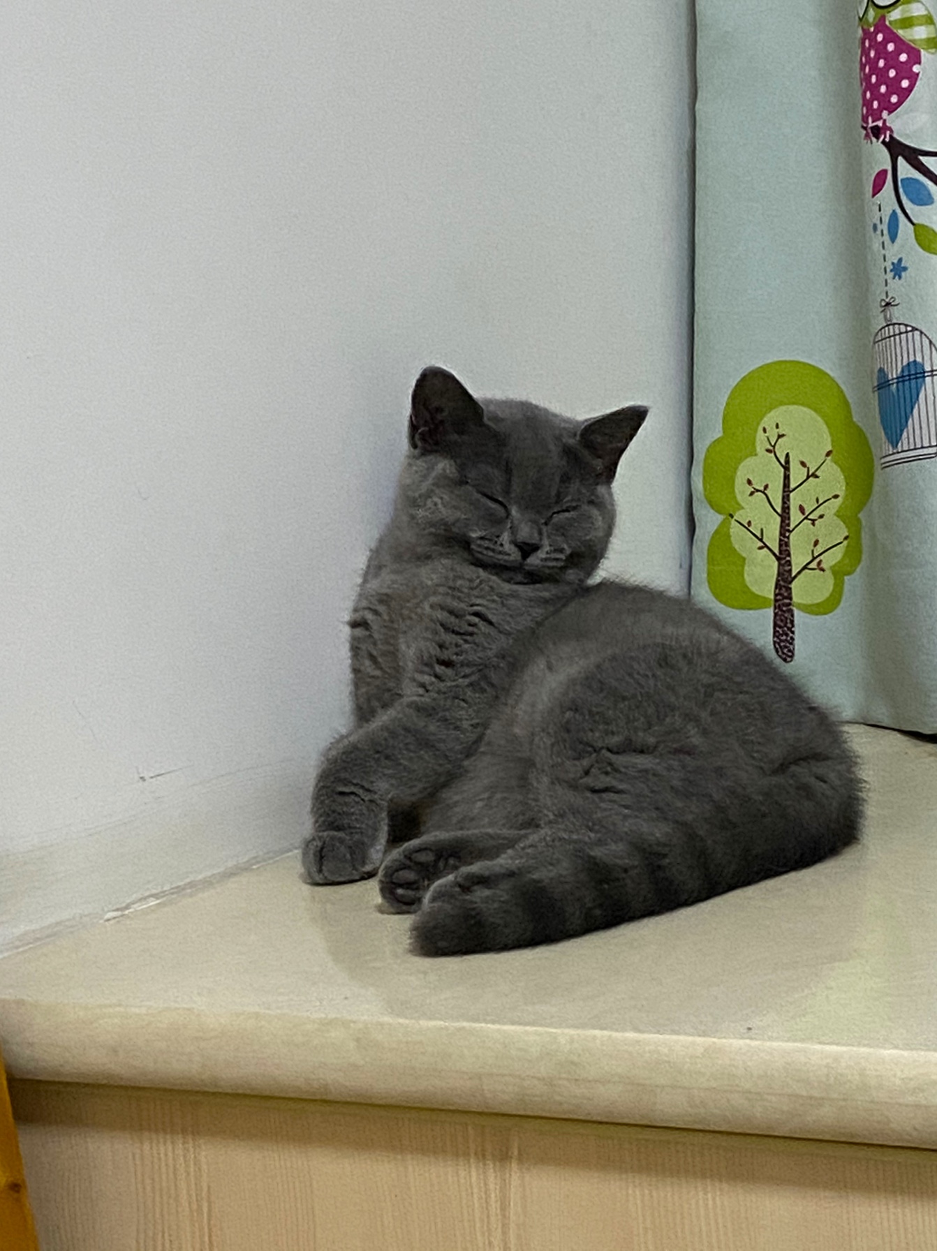 测试星晴sunny小清新古风套餐