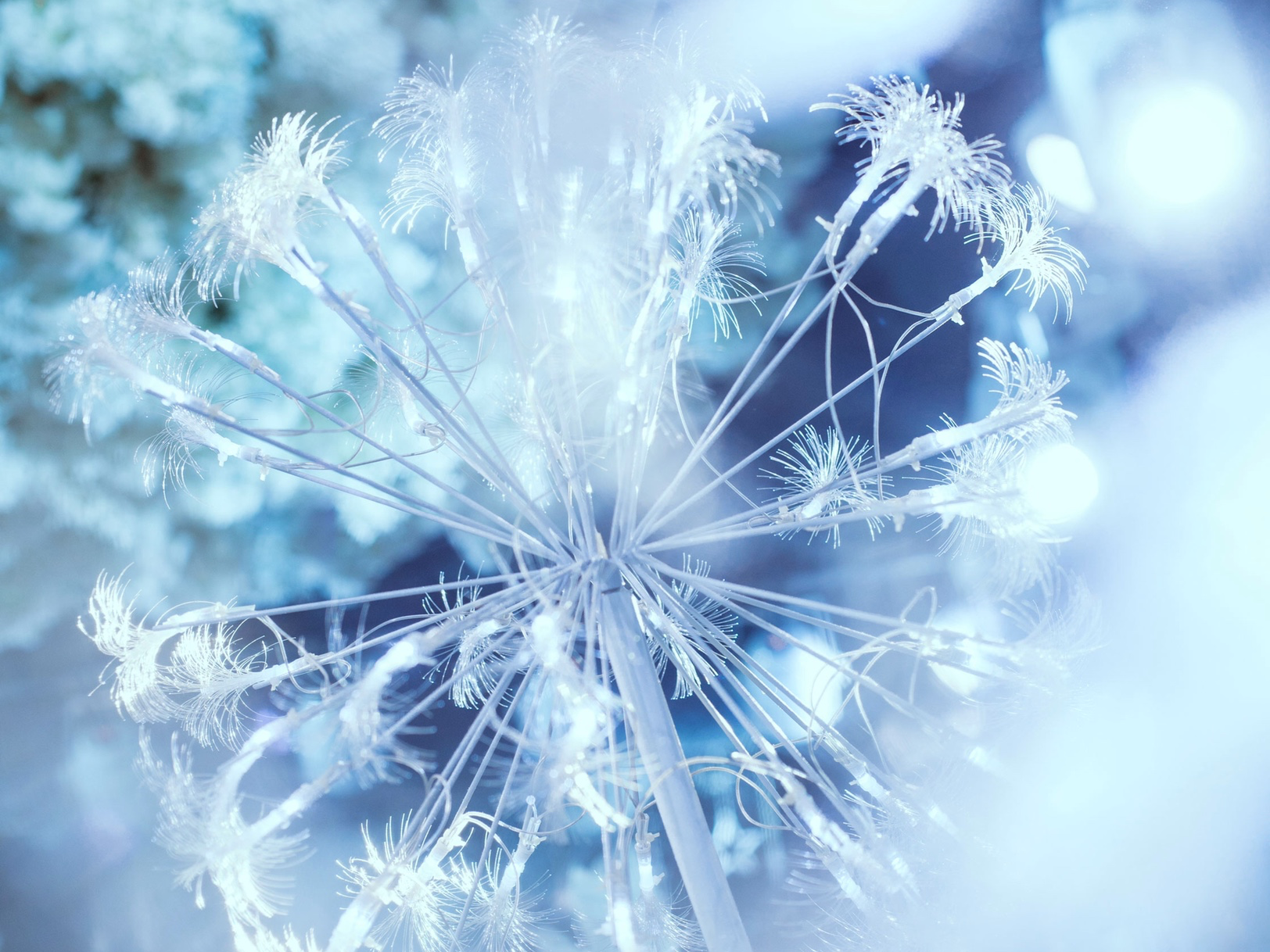 幸福，总是喜极而泣的感动