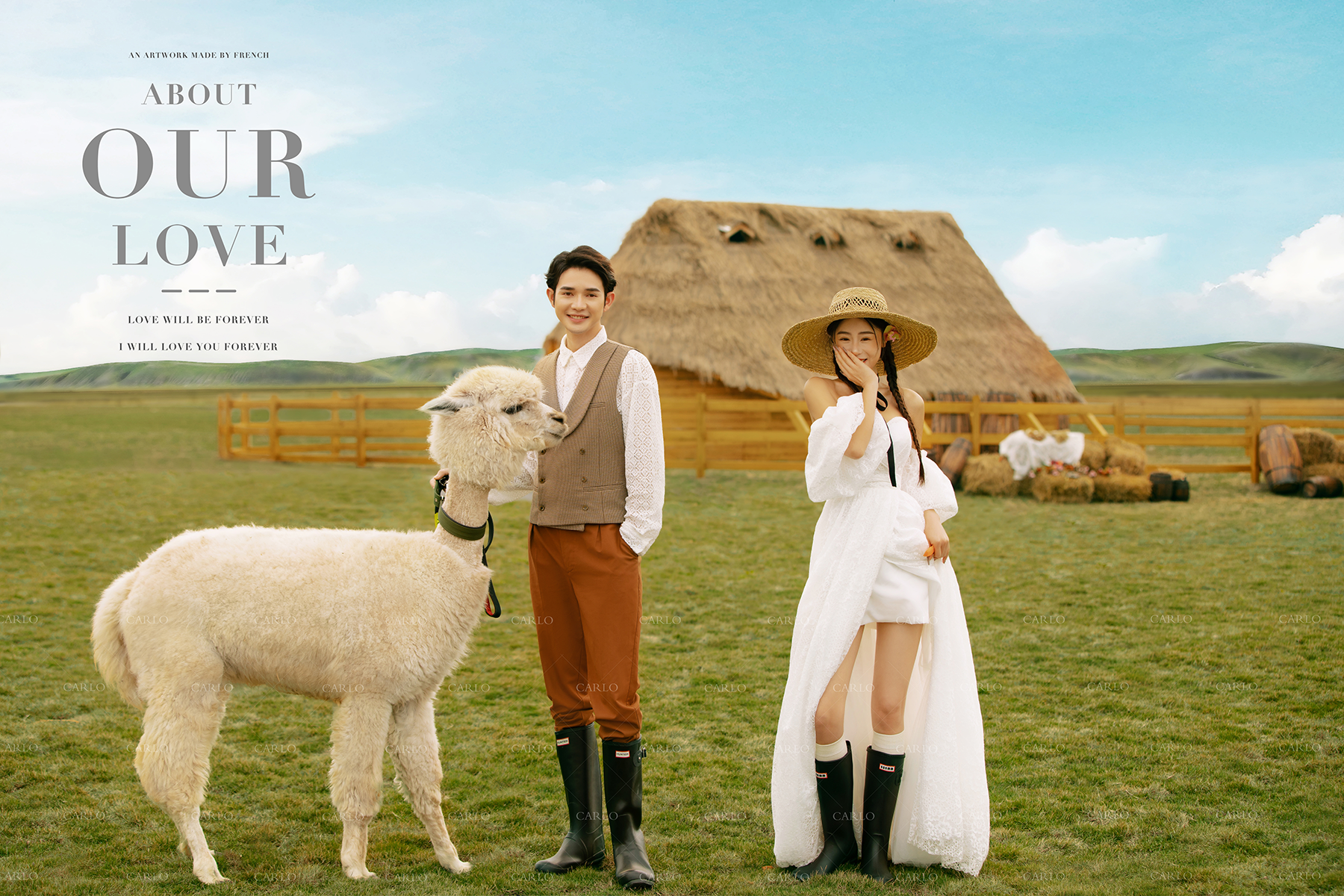 卡洛婚纱摄影【牧场+羊驼】