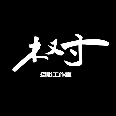 樹(shù)攝影