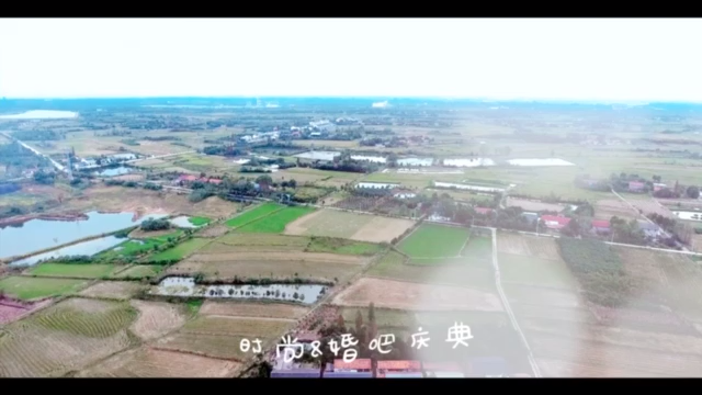 创意仪式-清新--小树林