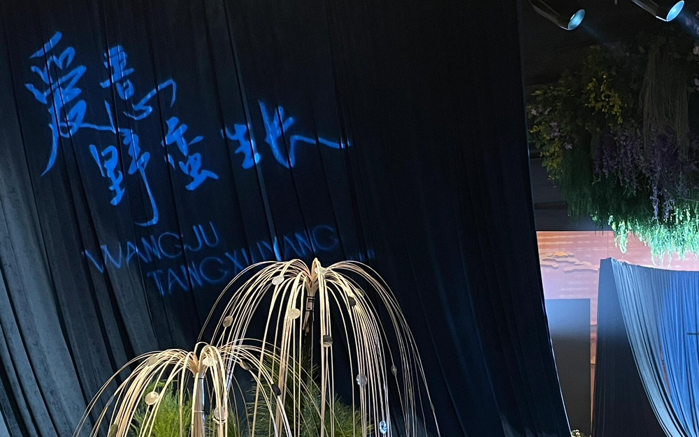唯美轻奢款｜七大金刚自由挑选｜2024高定制套系