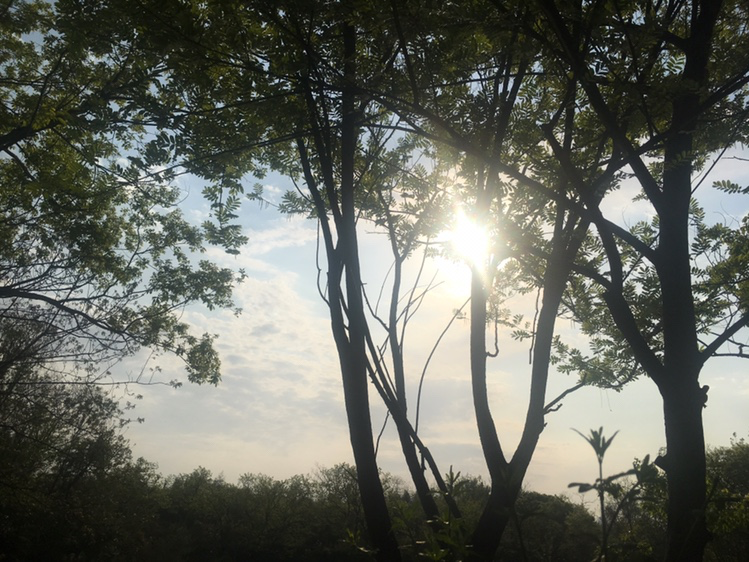 测试方法有什么可以解决的问题，