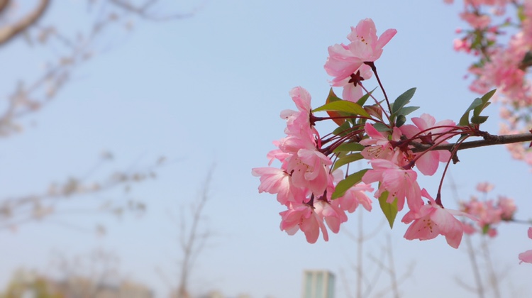 測(cè)試婚紗攝影名哦呵咯哦姆蘇爾夫