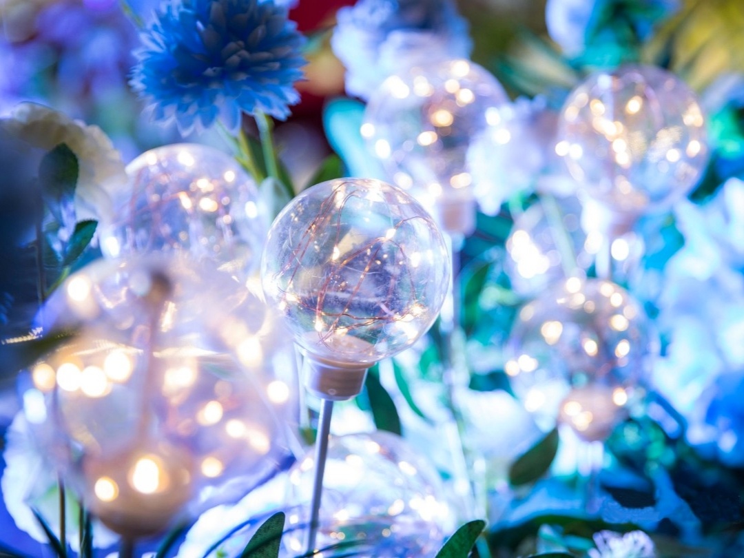 雷州金育滿堂婚慶|【繁星如花】深藍夢幻星空