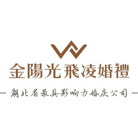 宜昌金阳光飞凌婚礼