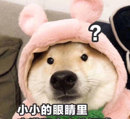 哈哈哈