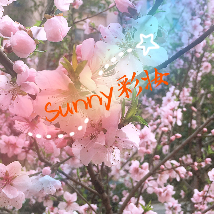 Sunny彩妆
