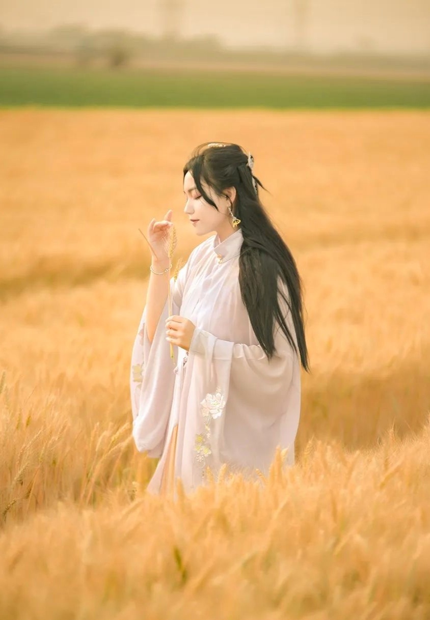 风吹麦浪