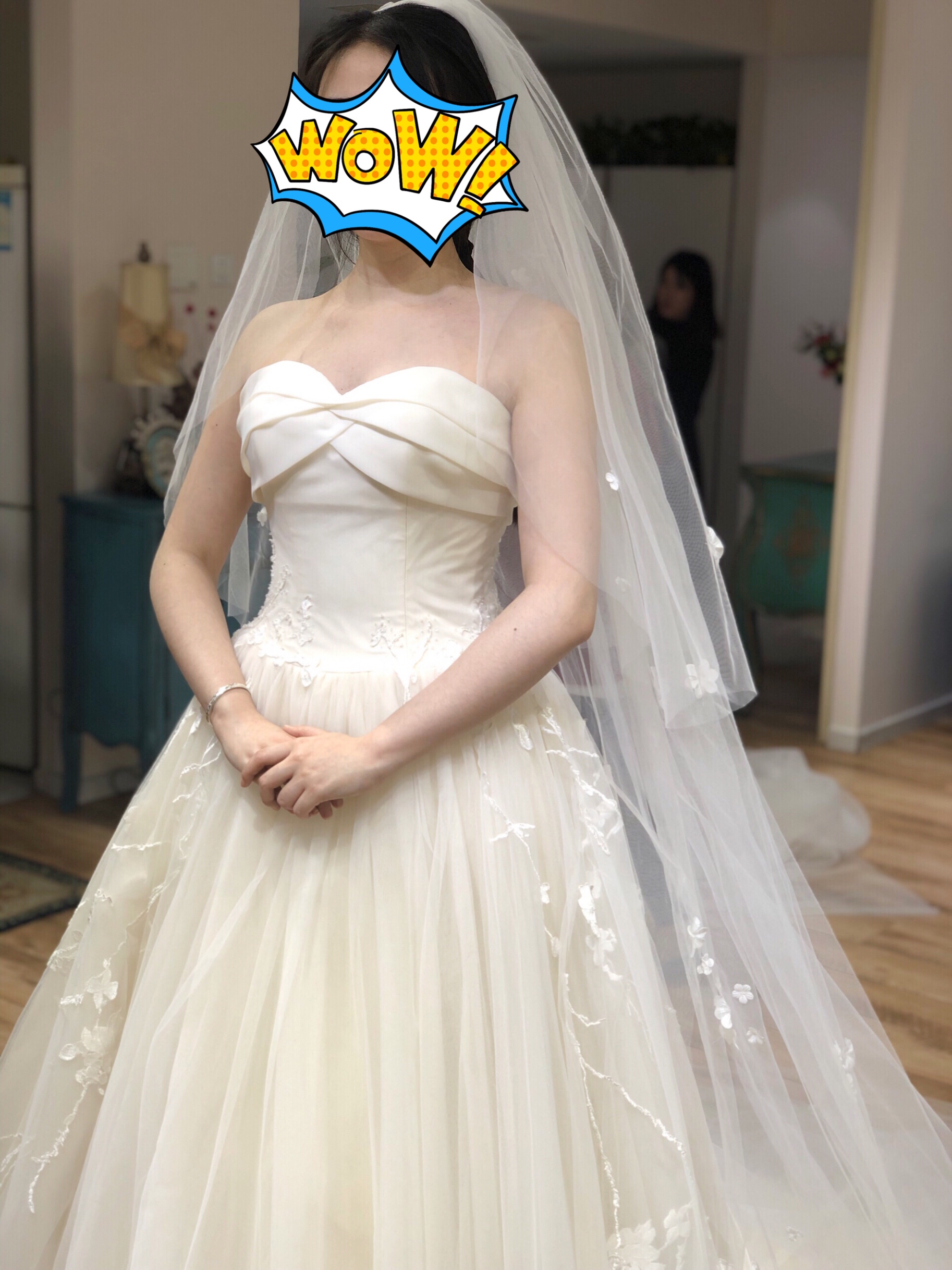 衣纱布菲婚纱_手包扎纱布图片(2)