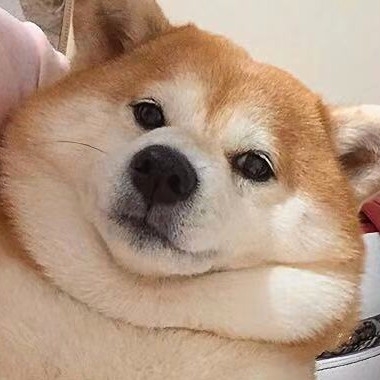 哈喽你好