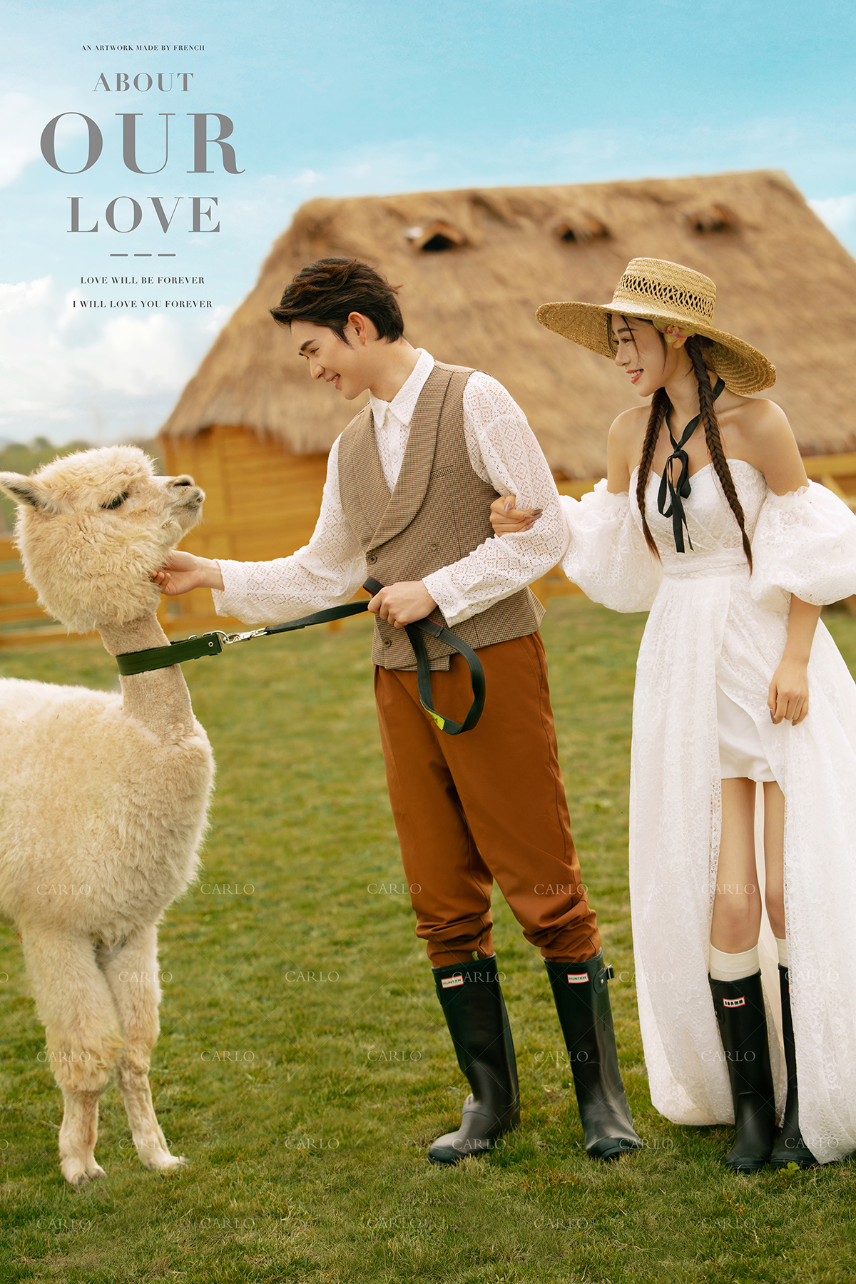 卡洛婚纱摄影【牧场+羊驼】