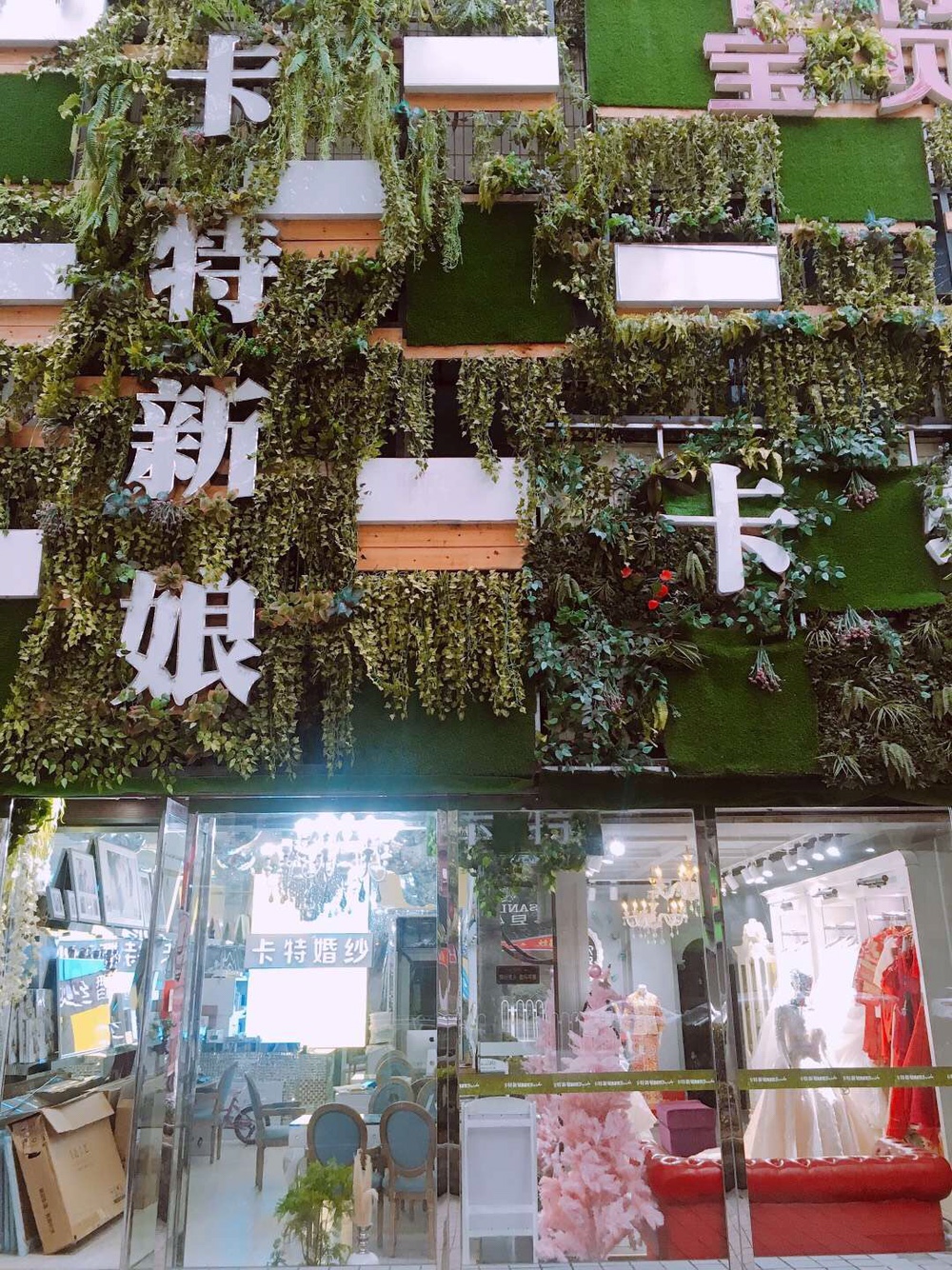 卡特新娘