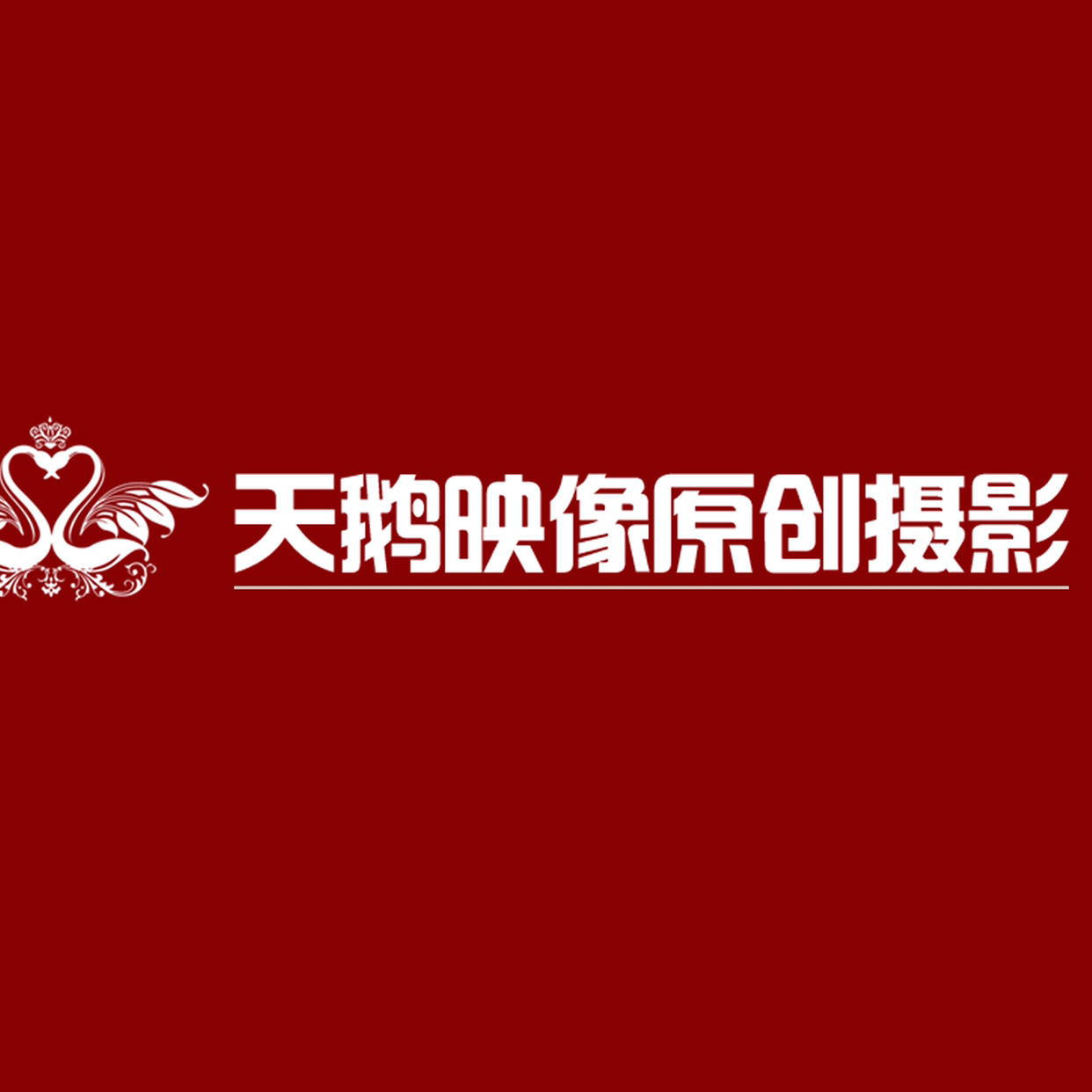 天鹅映像原创摄影