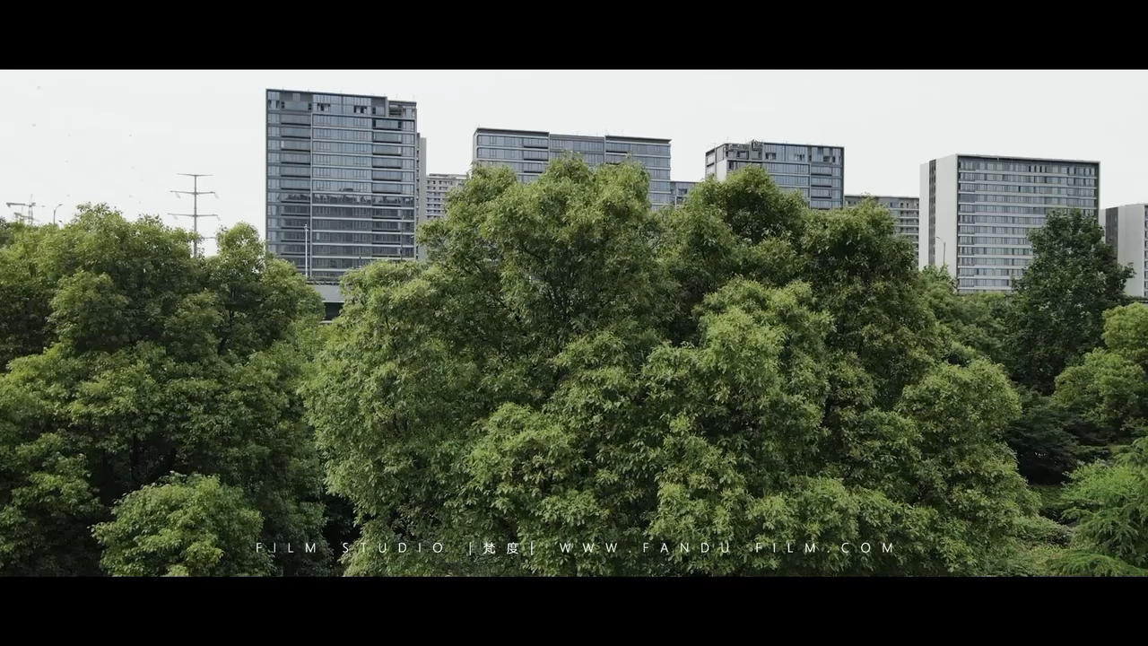 總監(jiān)攝像師三機(jī)位套餐