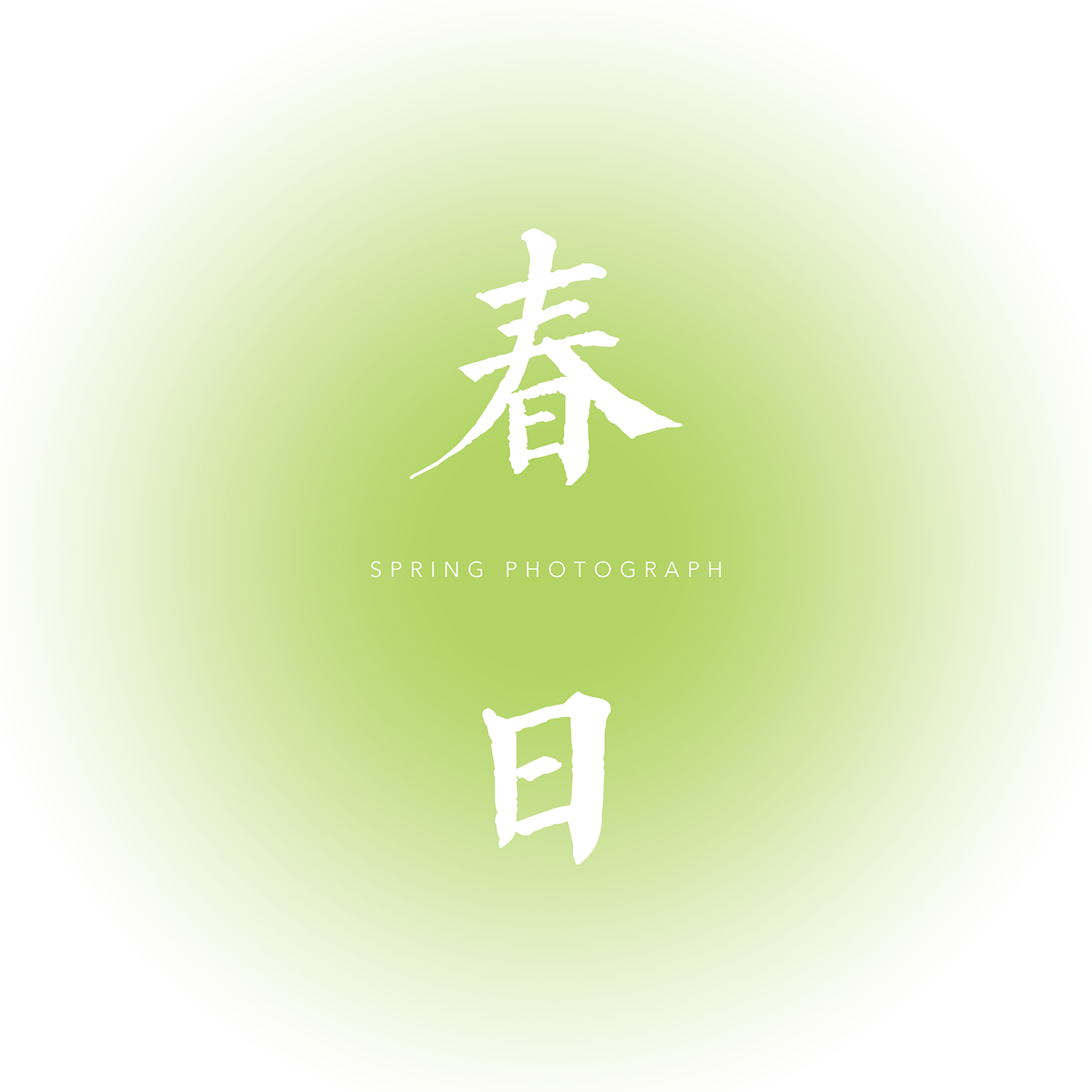春日视觉