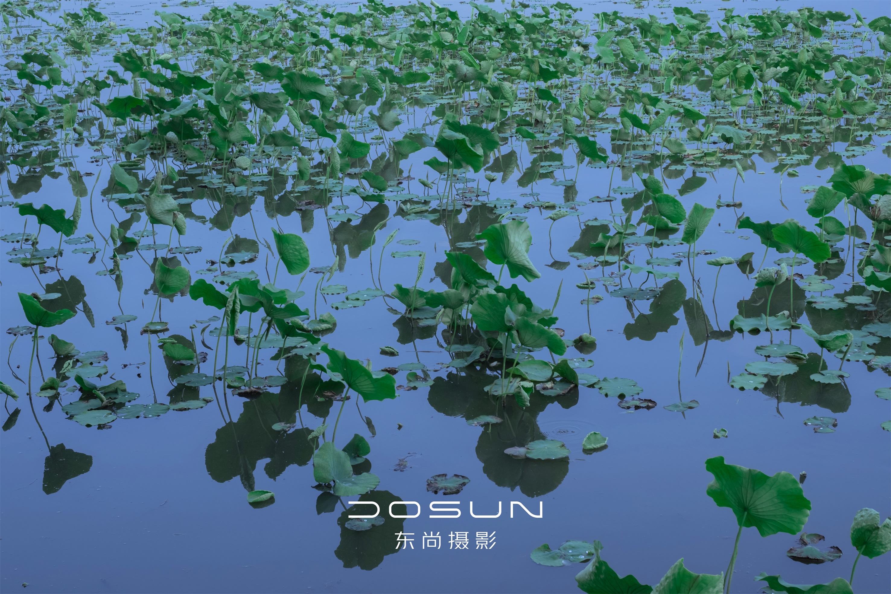 【城市地标】印象西湖系列婚纱照       