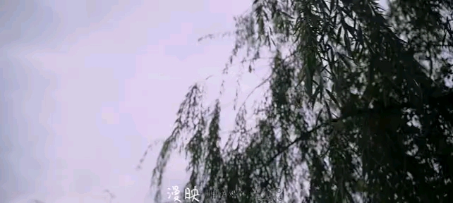 香檳色婚禮【琳】赤誠(chéng)酒店全新婚禮