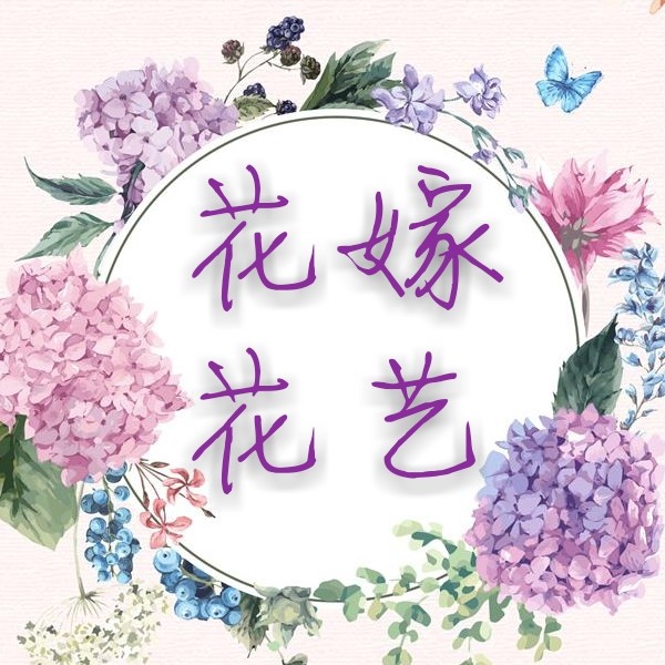 衛(wèi)輝市花嫁花藝
