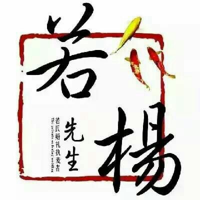 若楊先生督導(dǎo)師