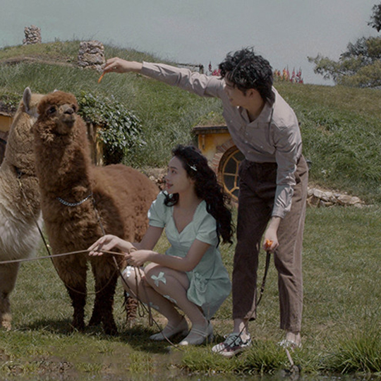 定制旅拍 | 明星系列 赠送MV微电影