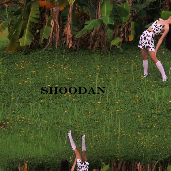 SHOODAN STUDIO