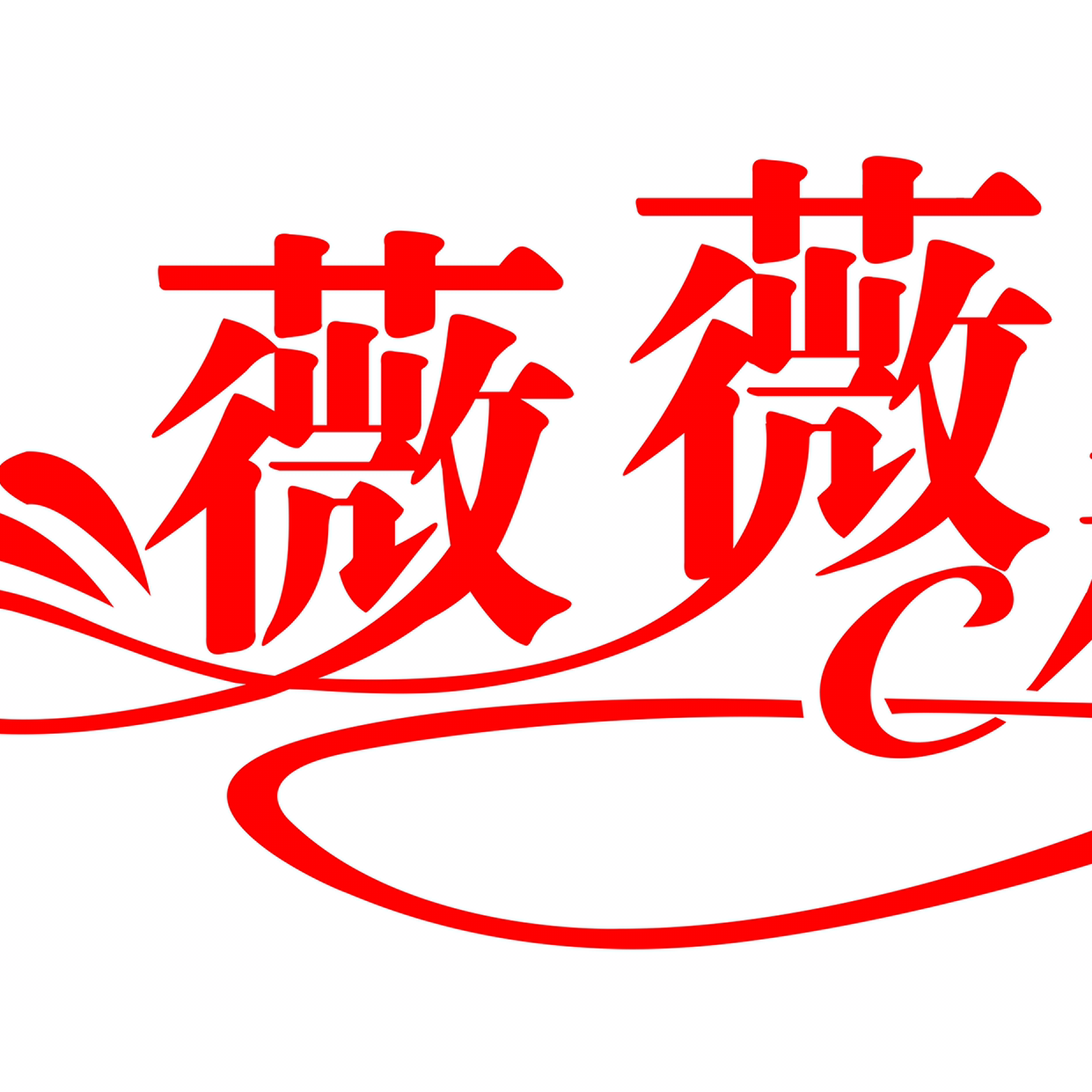 薇薇新娘婚纱摄影婚庆策划公司