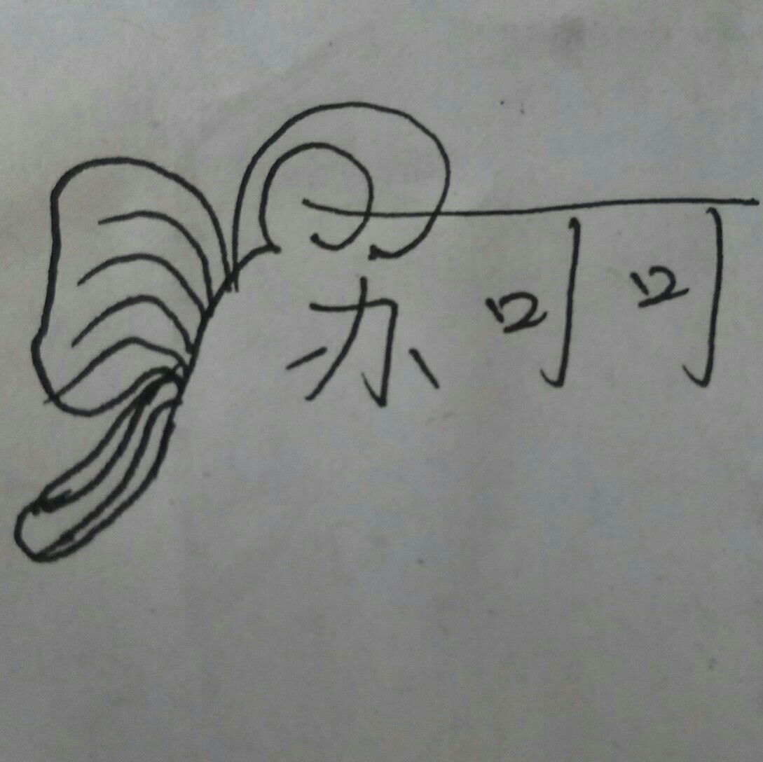 苏可可个人形象设计坊