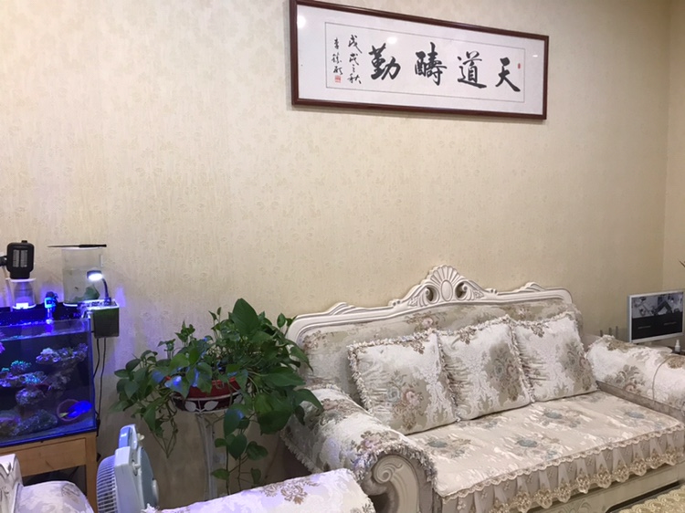唯爱婚礼