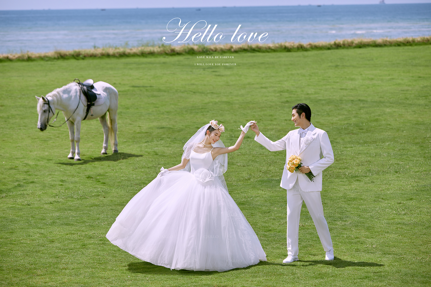 卡洛婚纱摄影【草坪白马】