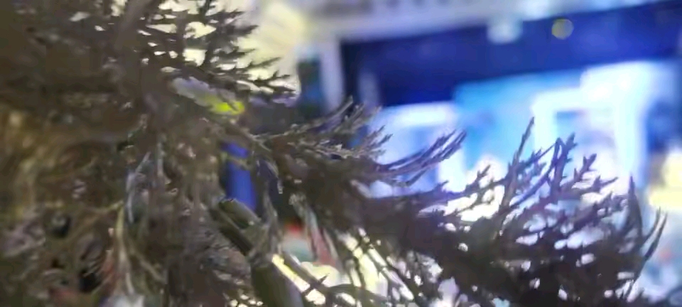 情愿婚庆，用我们的真诚服务好每一对新人