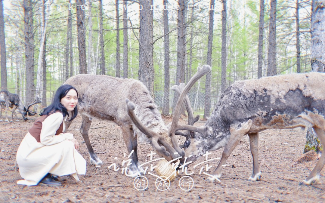 呼倫貝爾《愛上草原愛上你》愛芙羅婚紗攝影蜜月旅拍