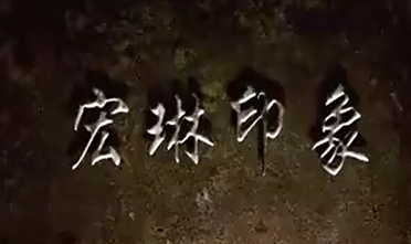 null宏琳印象
