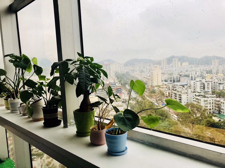 木言婚礼