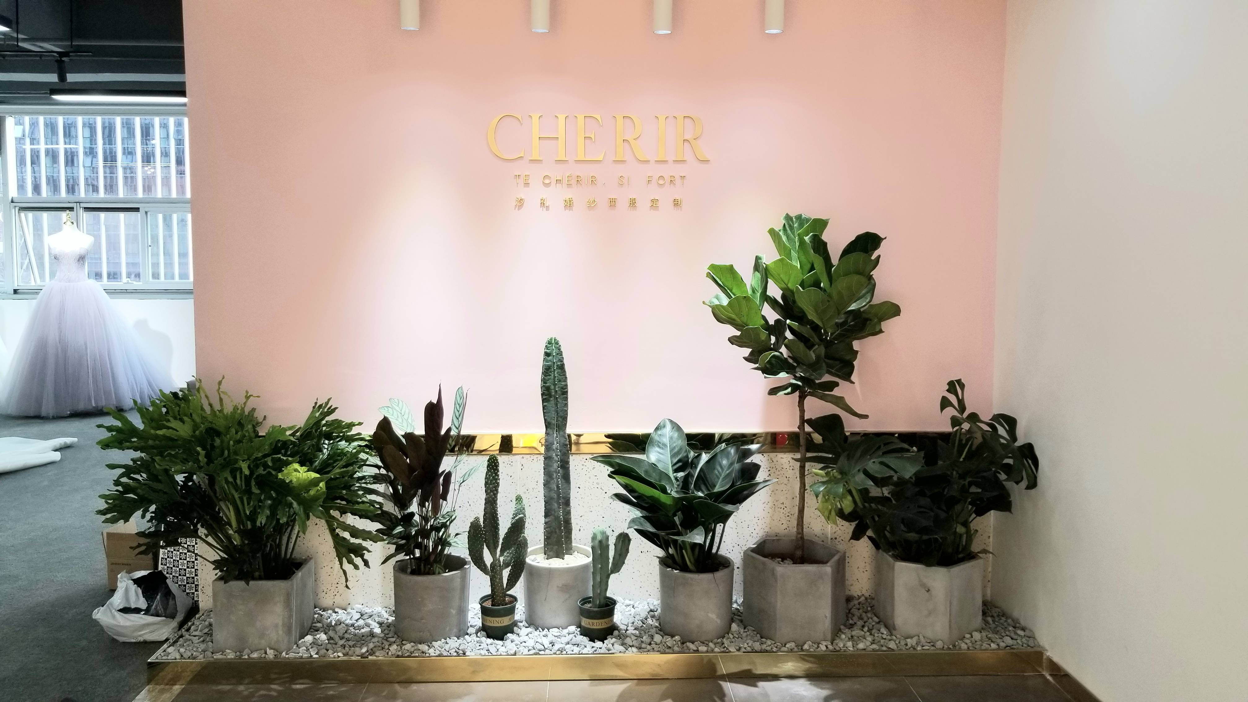 CHERIR 汐礼婚纱西服定制（旗舰店）