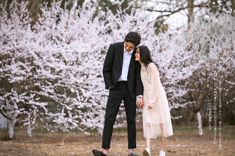 日系婚纱照没有樱花还可以拍桃花嘛