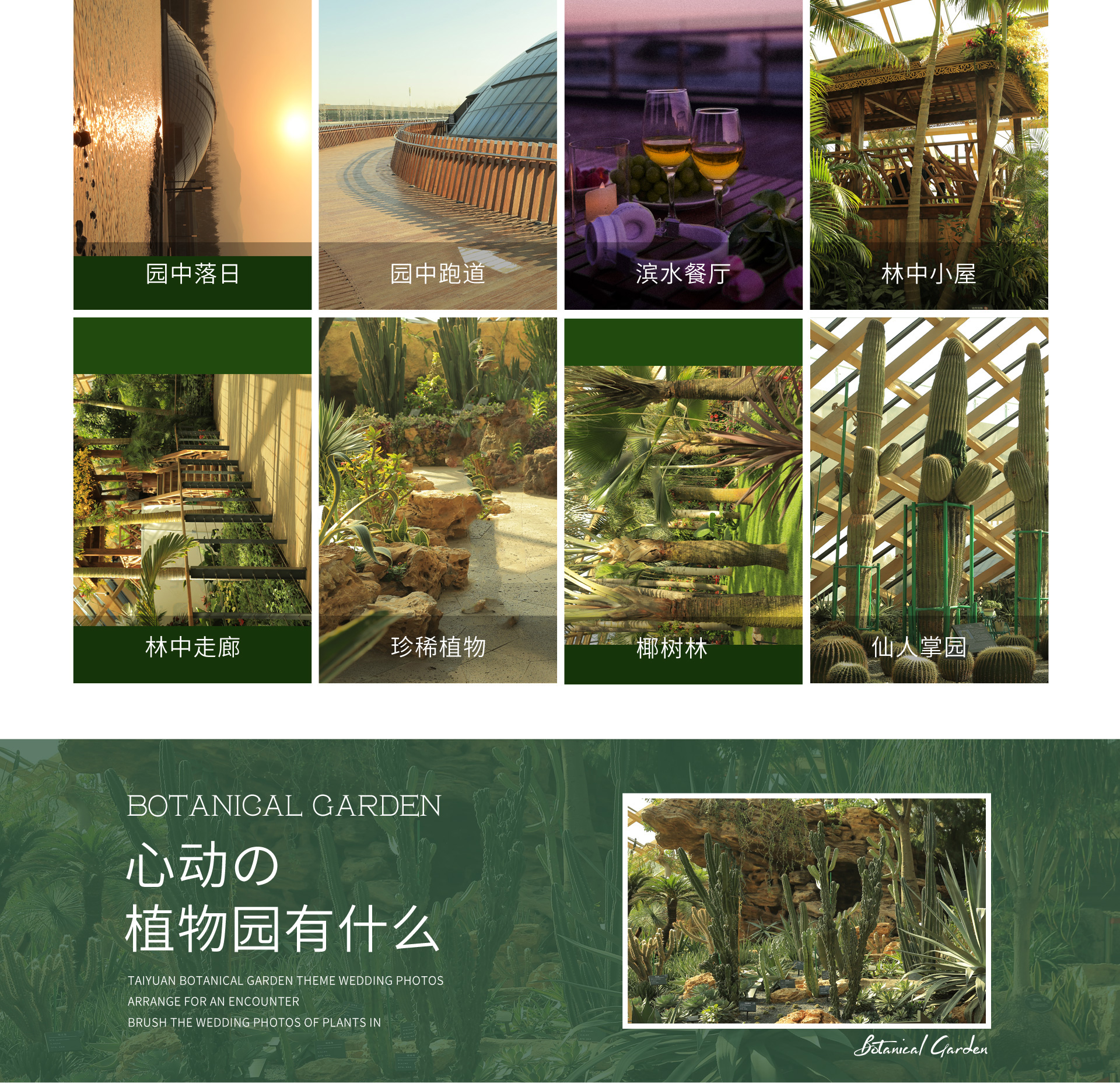 【开春特价】性价比高+植物园风格+豪华婚嫁礼包