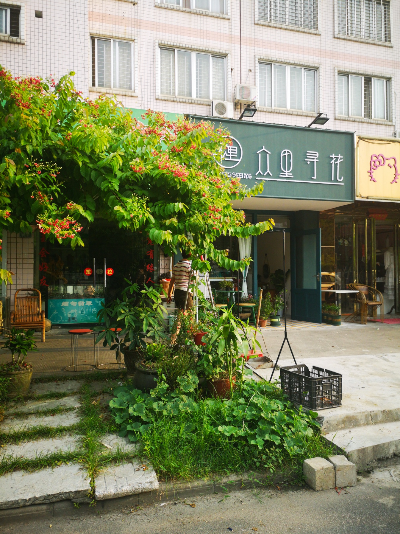 造梦师婚礼