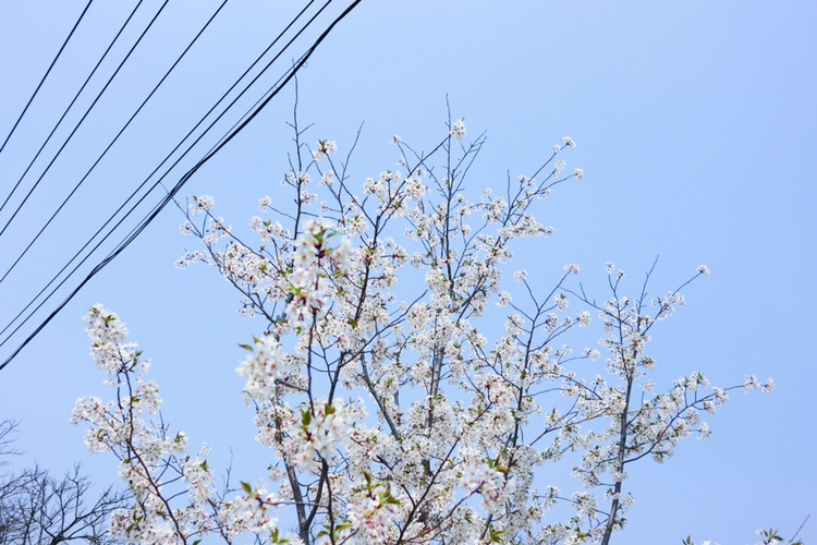 測(cè)試婚紗攝影名哦呵咯哦姆蘇爾夫