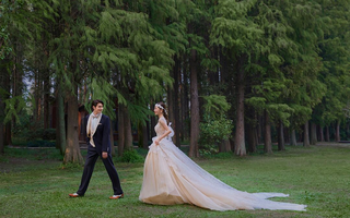 绿野仙踪在森林里拍了一组法式复古婚纱照