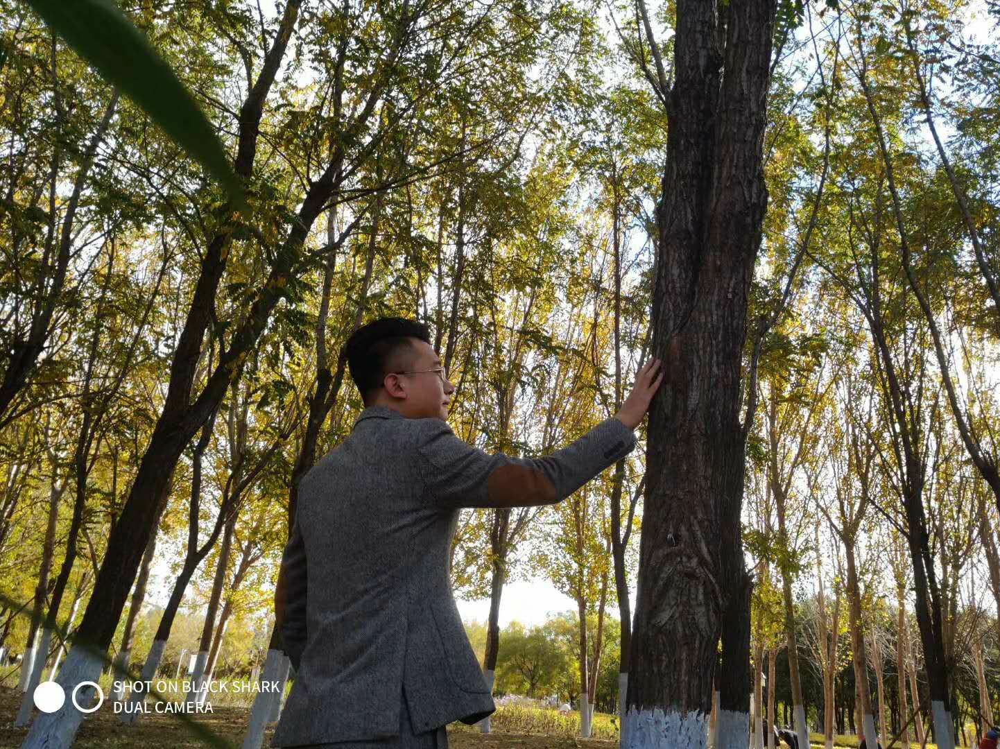 梦东