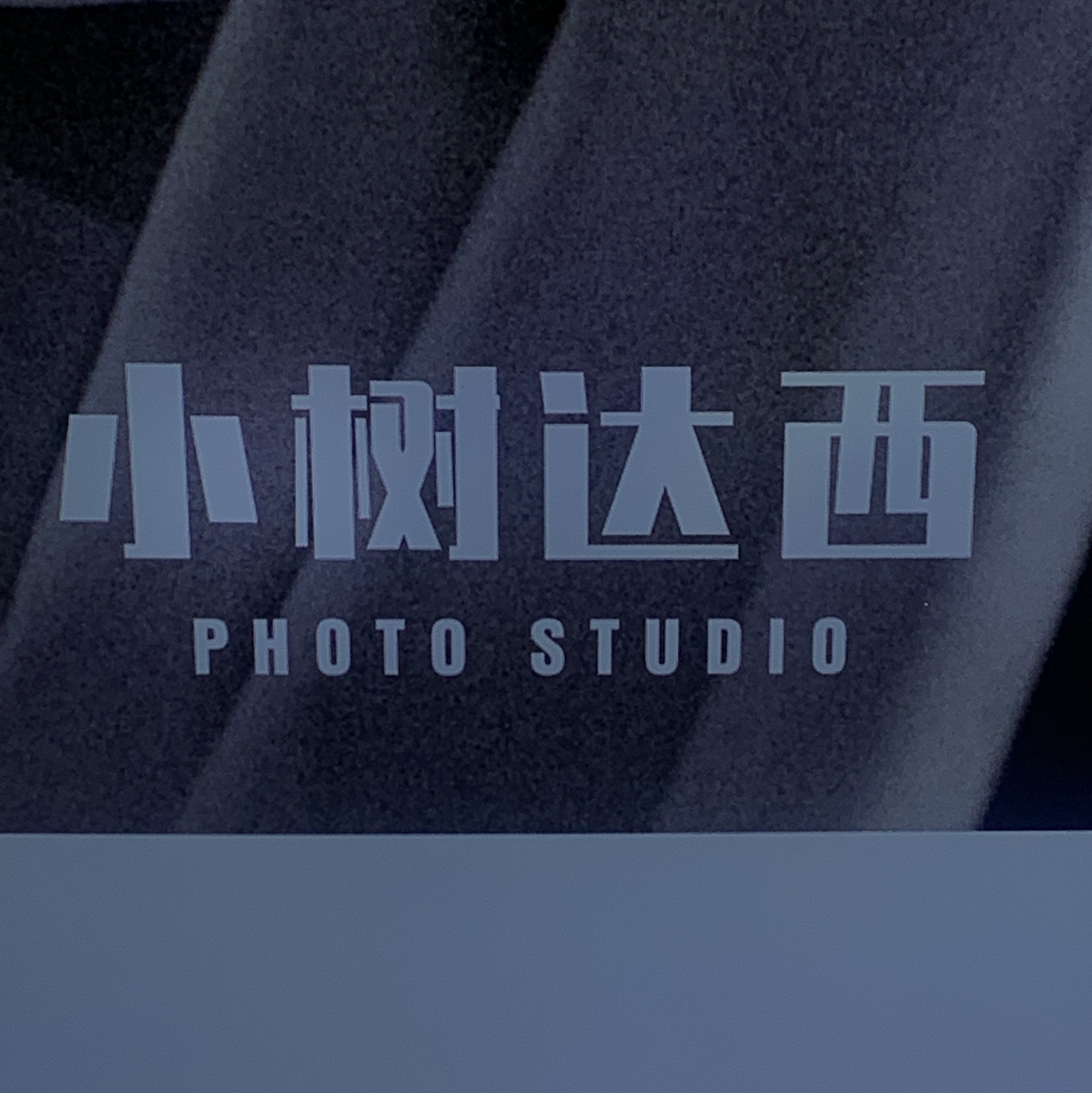 小树达西摄影计画