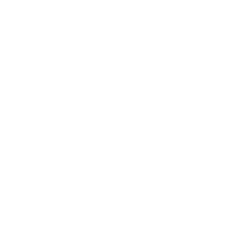 安妮婚礼