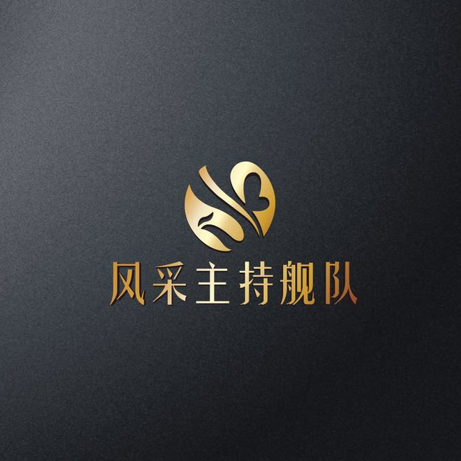 null风采主持舰队