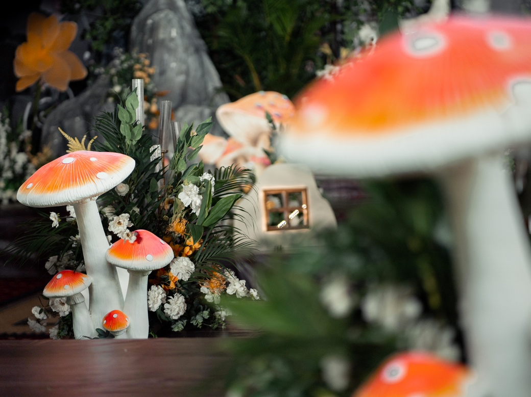 梦游仙境|爱丽丝梦游仙境