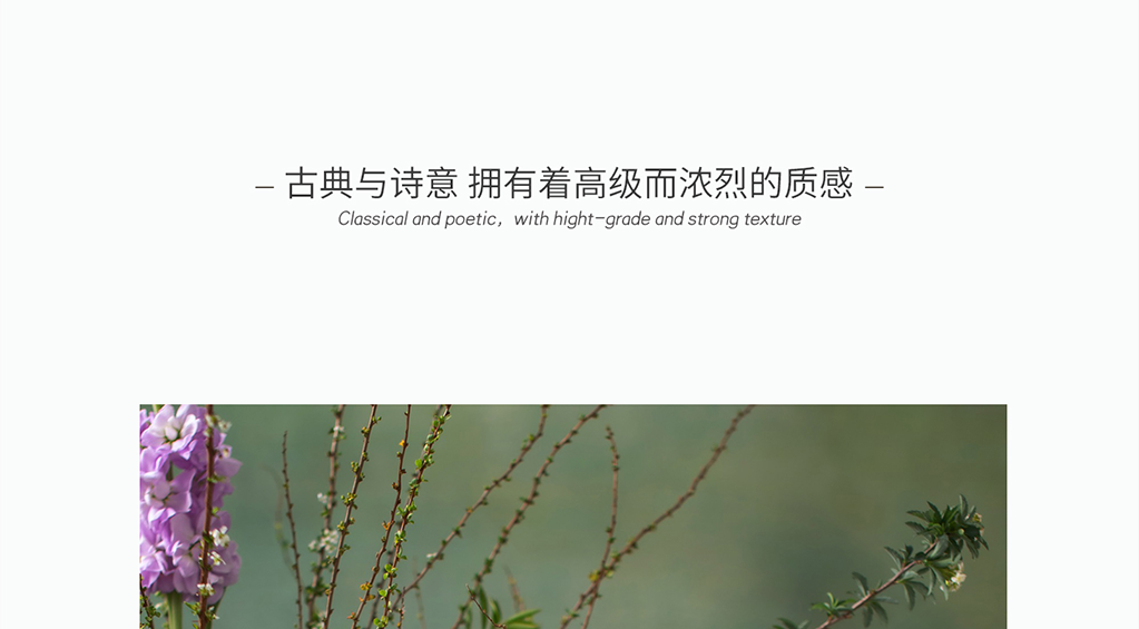 【网红打卡】风格任选/网红同款