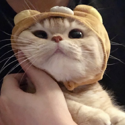 金鱼盒